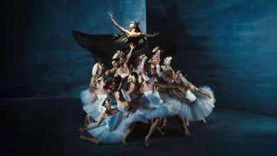 Swan Lake (van 6-106 jaar)