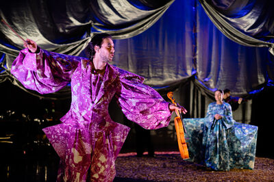 Theatrale scène met rijke, glanzende gordijnen op de achtergrond. Op de voorgrond staat een man in een opvallend paars kostuum met wijde mouwen, terwijl hij een viool in één hand houdt en zijn andere arm expressief uitstrekt. Achter hem staat een vrouw in een wijde, blauw gemarmerde jurk, en verderop is nog een muzikant zichtbaar. De belichting en kostuums geven de scène een uitbundige, operatische uitstraling.